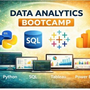 Online Data Analytics Bootcamp